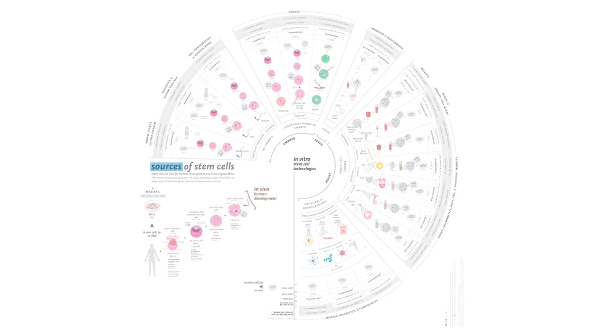 Information design