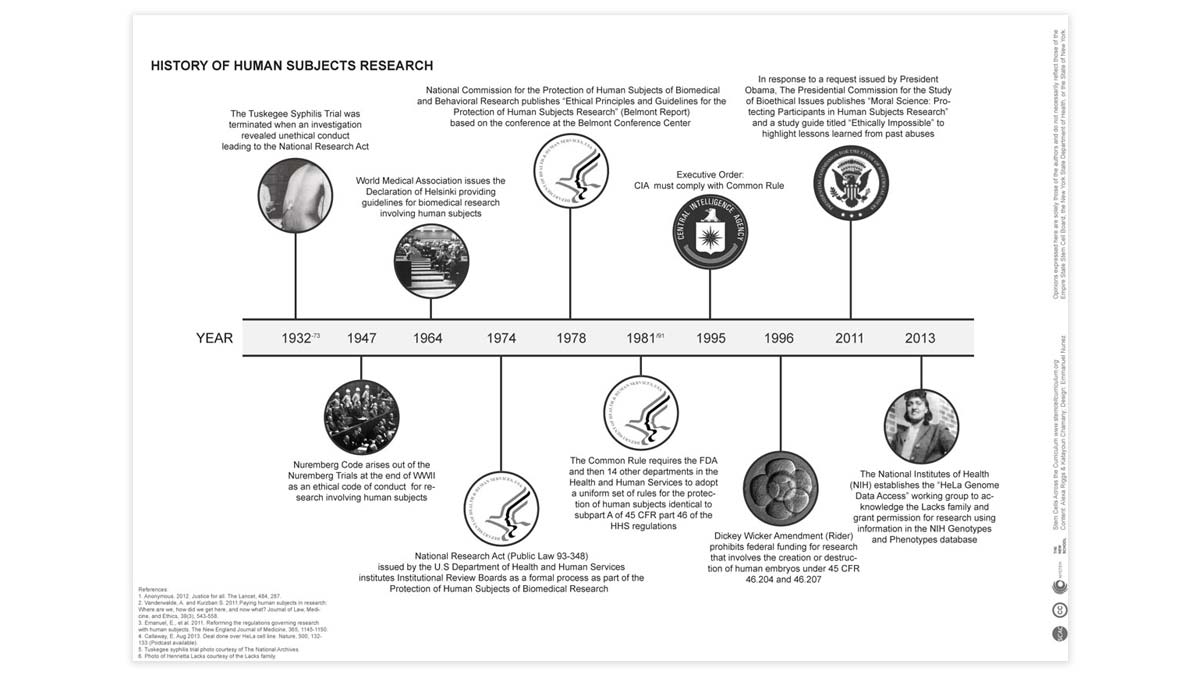 Timeline