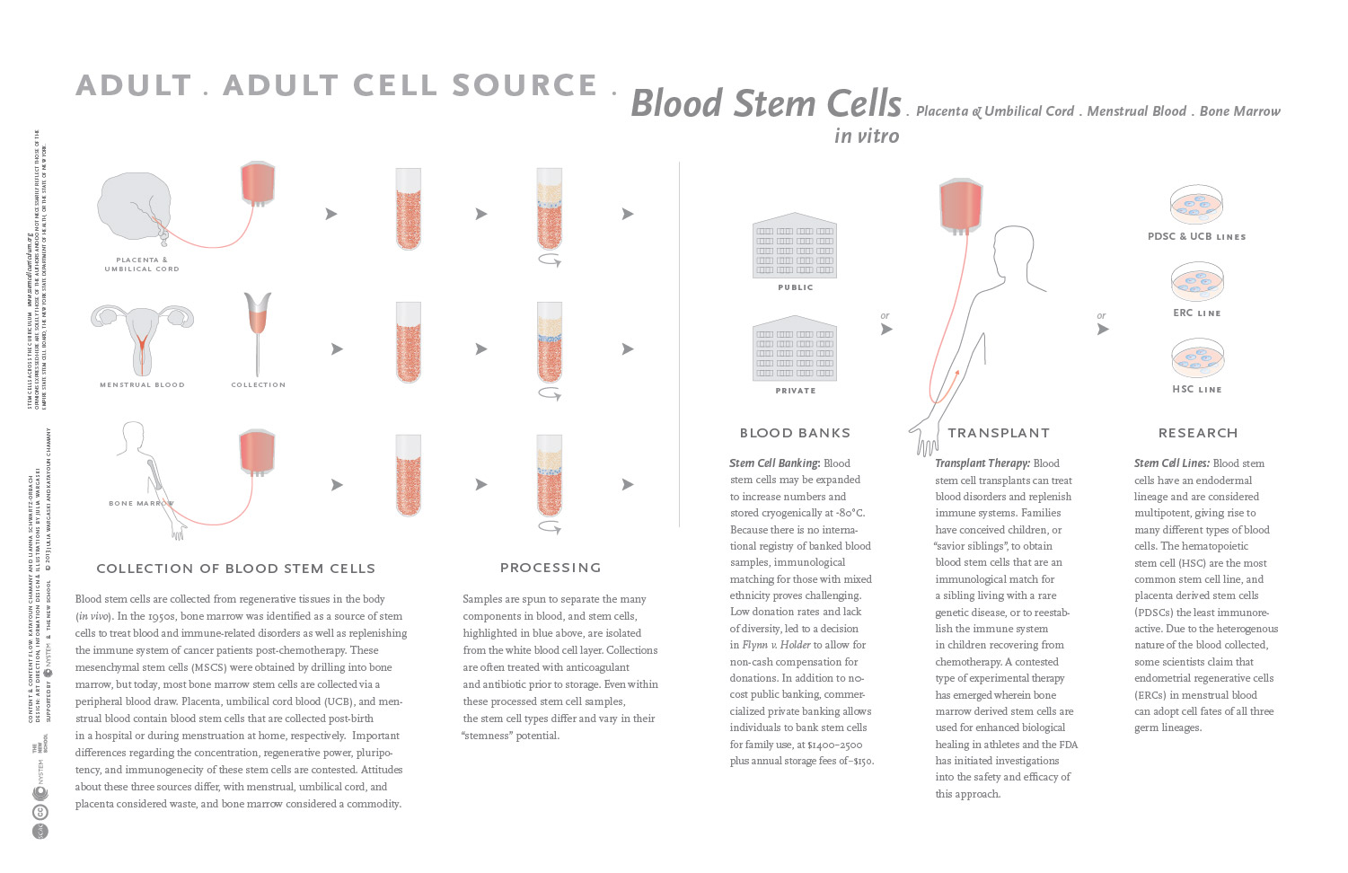 infographic