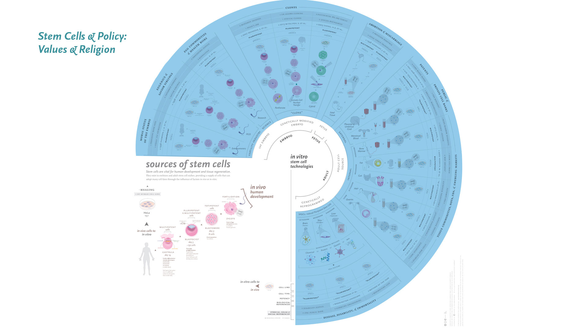 infographic