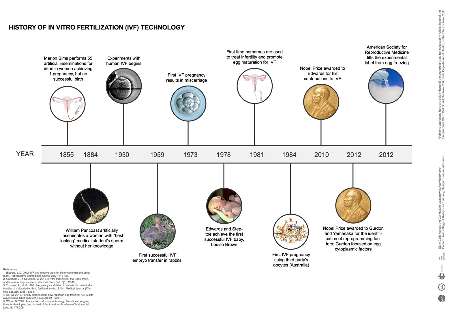 timeline